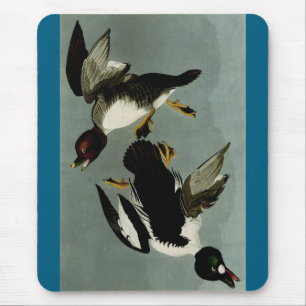 Common goldeneye sea duck mouse pad