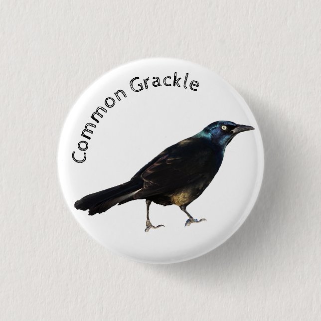 Common Grackle 1 Inch Round Button (Front)