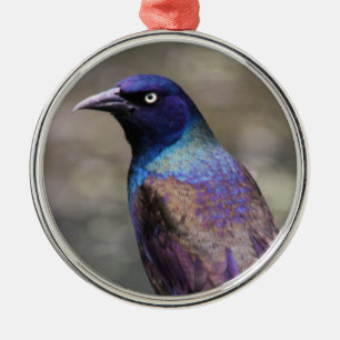 Common Grackle Metal Ornament
