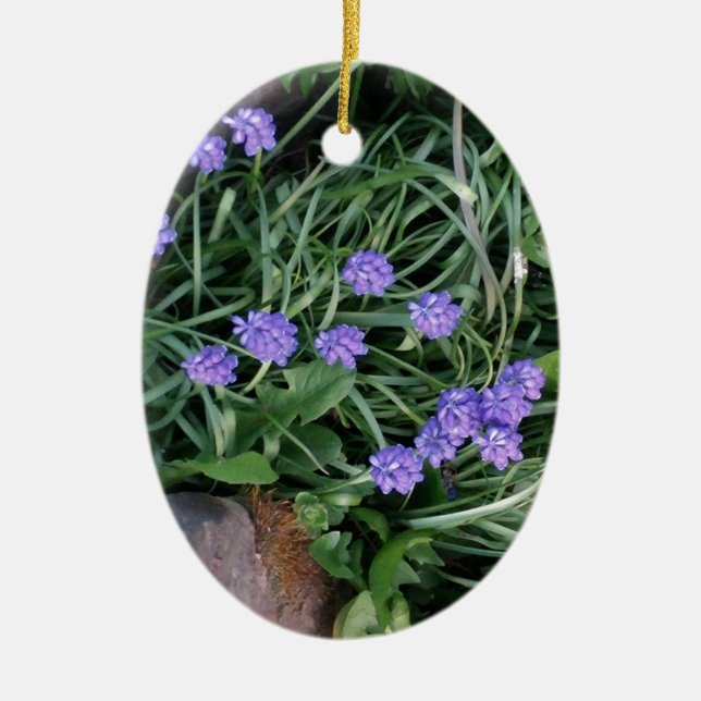 common grape hyacinth,  blue purple flower,floral ceramic ornament (Front)