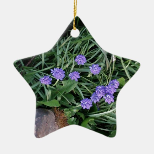 common grape hyacinth,  blue purple flower,floral ceramic ornament (Front)