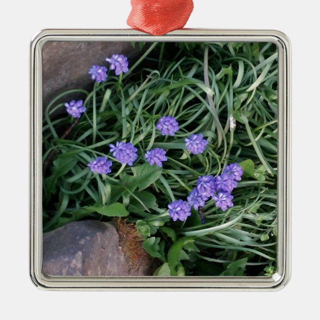 common grape hyacinth,  blue purple flower,floral metal ornament (Front)