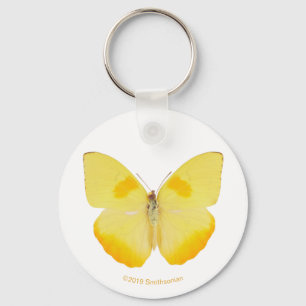 Common Grass Yellow Butterfly Keychain