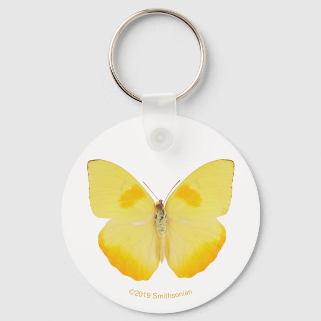 Common Grass Yellow Butterfly Keychain (Front)