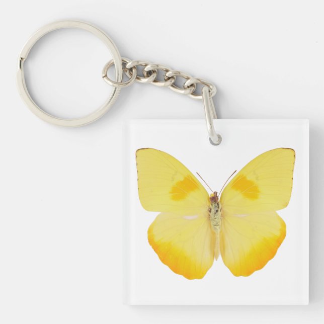 Common Grass Yellow Butterfly Keychain (Front)