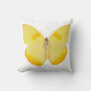 Common Grass Yellow Butterfly Throw Pillow