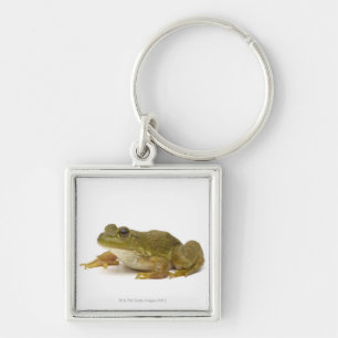 Common Green Frog Keychain
