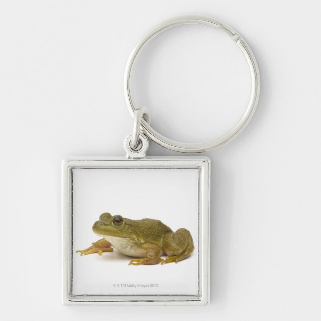 Common Green Frog Keychain (Front)