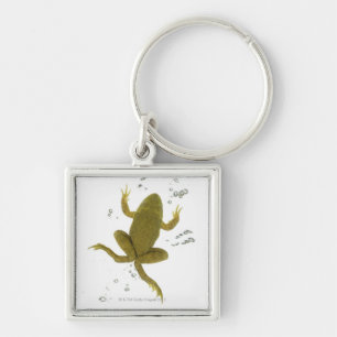common green frog keychain