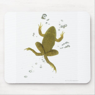 common green frog mouse pad