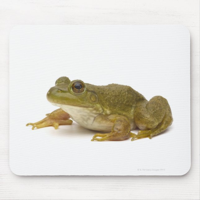 Common Green Frog Mouse Pad (Front)