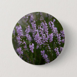 Common Heather (Calluna vulgaris) 2 Inch Round Button