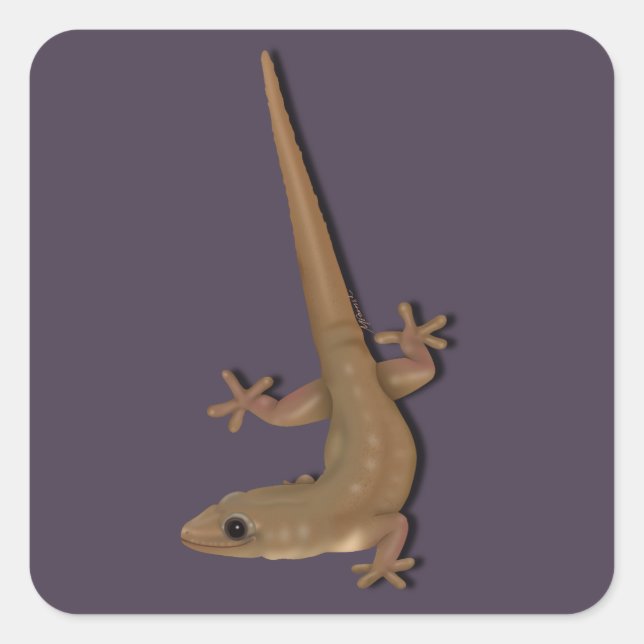 Common House Gecko Square Sticker (Front)