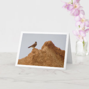 Common Kestrel Bird, Falco Tinnunculus Card