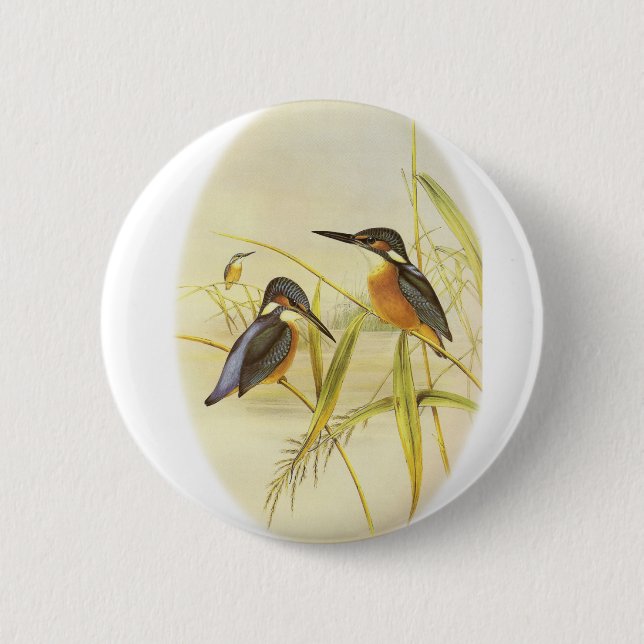 Common Kingfisher 2 Inch Round Button (Front)