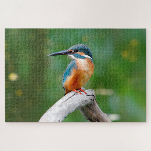 Common Kingfisher Bird Nature Jigsaw Puzzle