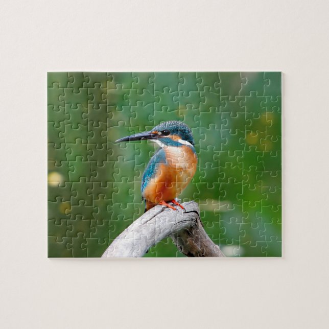 Common Kingfisher Bird Nature Jigsaw Puzzle (Horizontal)