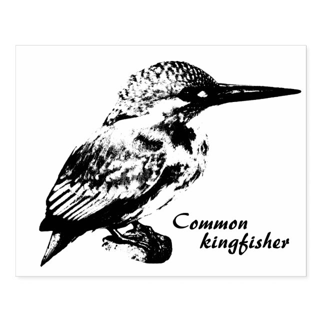 Common kingfisher rubber stamp (Imprint)