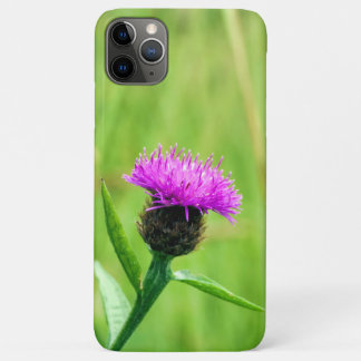 Common Knapweed  iPhone 11 Pro Max Case