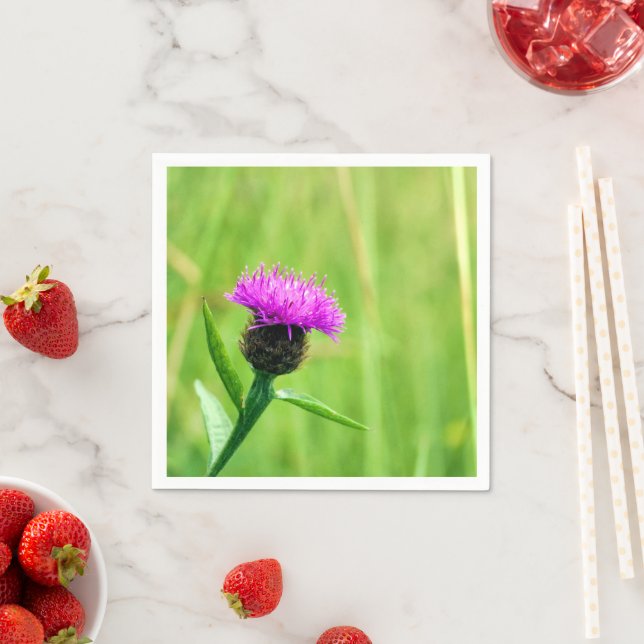 Common Knapweed  Napkins (Insitu)