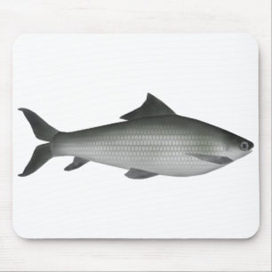 Common Labeo Mouse Pad