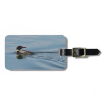 Common Loon Luggage Tag