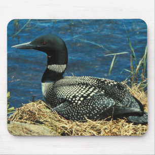 Common Loon Mouse Pad