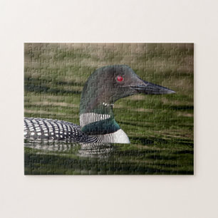 Common Loon on Jabe Pond Jigsaw Puzzle