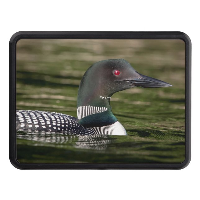 Common Loon on Jabe Pond Trailer Hitch Cover (Front)