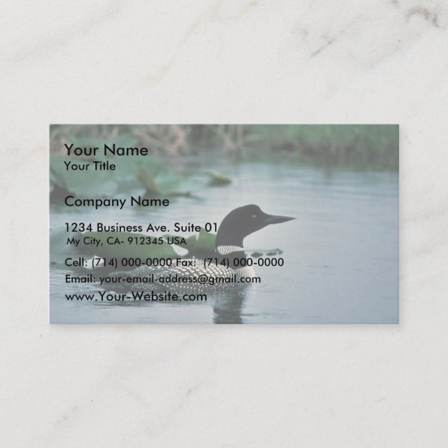 Common Loon on Water Business Card (Front)