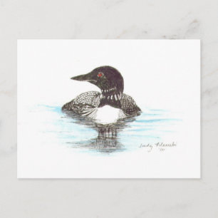 Common Loon Postcard