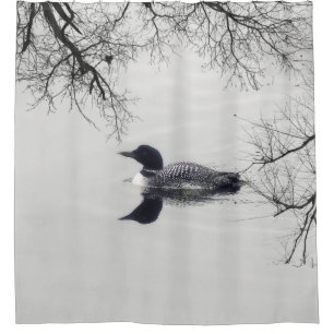 Common Loon Swims in a Northern Lake in Winter