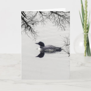 Common Loon Swims in a Northern Lake in Winter Card