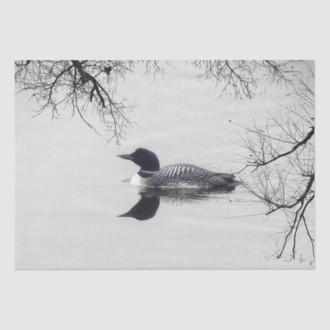 Common Loon Swims in a Northern Lake in Winter Tissue Paper (Front)