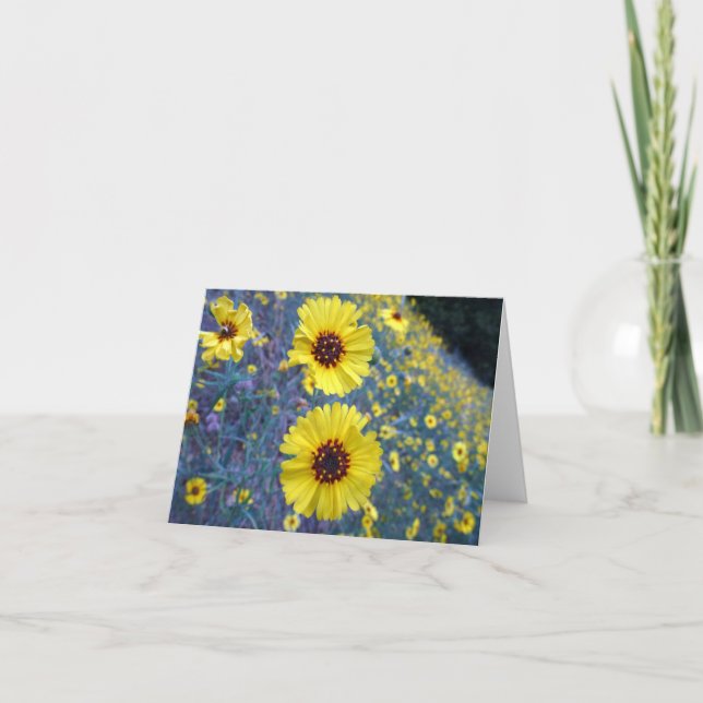 Common Madia Flowers at Sequoia National Park Card (Front)