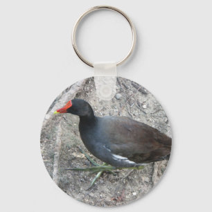 Common Moorhen Keychain