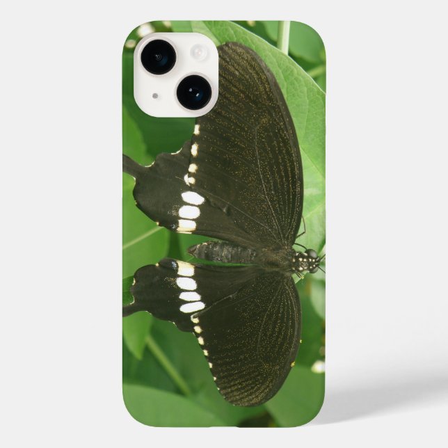 Common Mormon Butterfly Case-Mate iPhone Case (Back)
