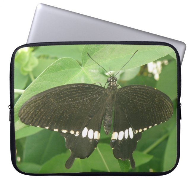 Common Mormon Butterfly Laptop Sleeve (Front)