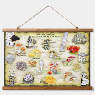 Common Names Tapestry Mushrooms of Vermont