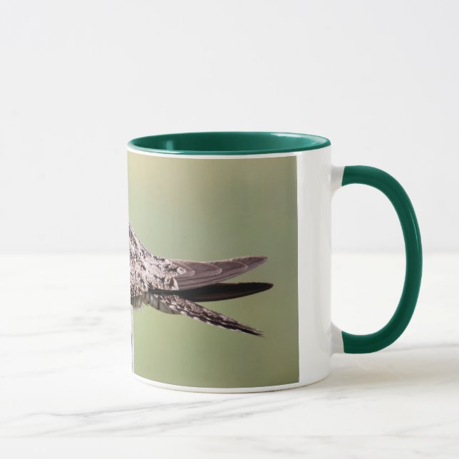 Common Nighthawk Mug (Right)