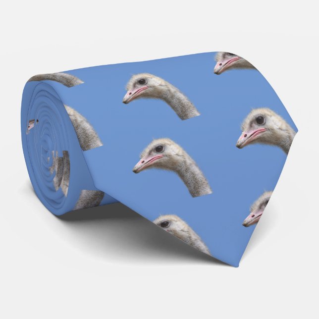 Common ostrich tie (Rolled)