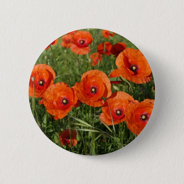 Common Poppies  2 Inch Round Button (Front)