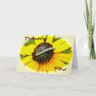 Common Pug Moth Caterpillar Coordinating Items Thank You Card