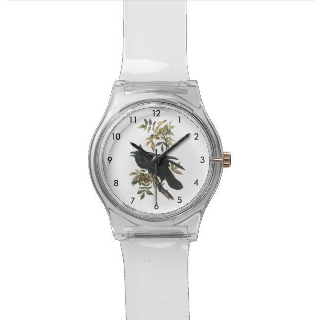 Common Raven by Audubon Watch (Close Up)