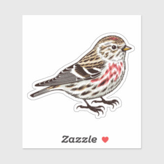 Common Redpoll bird Custom-Cut Vinyl Sticker