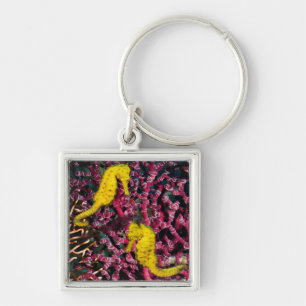 Common Sea Horse Hippocampus Taeniopterus Keychain