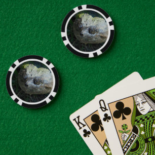 Common Snapper Turtle Poker Chips