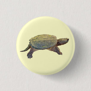Common Snapping Turtle - Chelydra serpentina 1 Inch Round Button