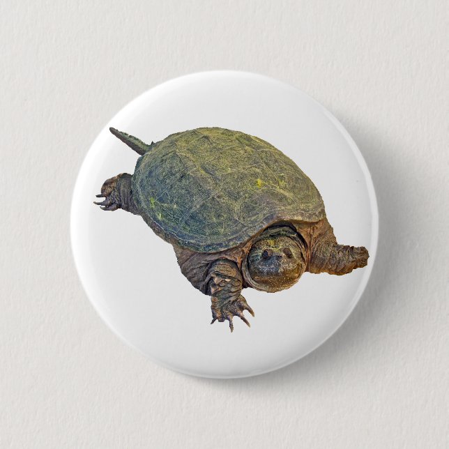 Common Snapping Turtle - Chelydra serpentina 2 Inch Round Button (Front)