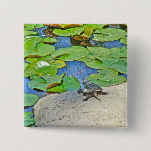 Common Snapping Turtle - Chelydra serpentina 2 Inch Square Button